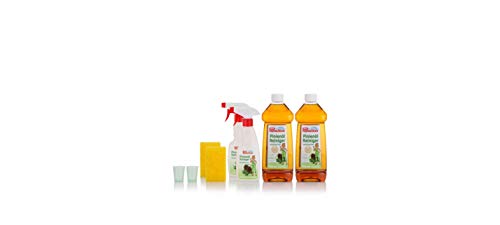 Preisvergleich Produktbild Pinienölreiniger, 2x 1000 ml mit Zubehör (Sonderedition)