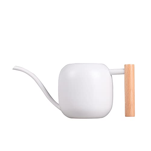 IMEEA Regador Pequeno para Plantas de Interior Regador de Aço Inoxidável de 40 Onças com Bico Longo