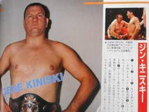 ゴング創刊13周年記念 永久保存版 THE WRESTLER BEST 100 ゴング創刊13周年