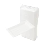 ストリックスデザイン 舟皿 使い捨て食器 日本製 100枚 大 白 テイクアウト容器 イベント 屋台 業務用 軽い 軽量 SG-050