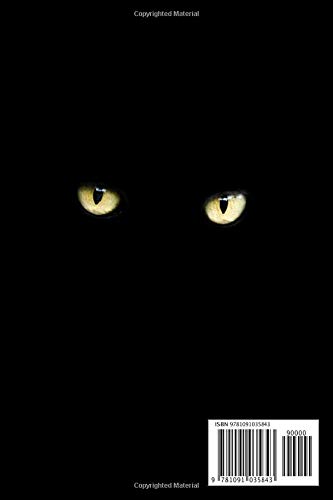 Evil Cat Notebook: Funny evil sinister looking cat journal