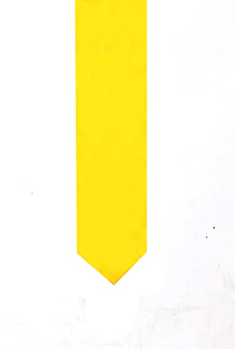 Image of TIE STUDIO Mens Formal Neckties| Standard Size | Premium fabric | Superior finishing| Packaging - Folder | Set of 1