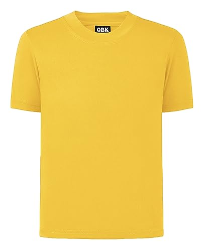 QBK 2T to Youth Neon Shirt Kids UPF 50+ Dry Fit Athletic Short Sleeve Rash Guard T Shirts for Boys Girls Sports Undershirt (Bright Yellow 4T)
