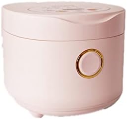 Rice cooker multi-function smart appointment small mini suitable for 3-4(E)