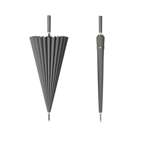 P Y [fBX P y amP 24{ 傫  WvP JP xOXt@Co[ St n ϕP ^b` J J ~J΍ 䕗Ή jp CgO[