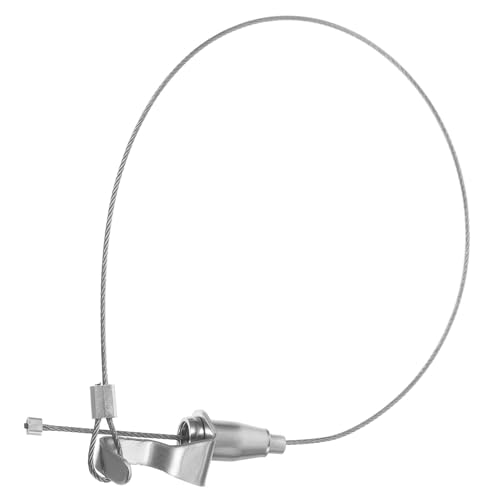 LOLIPPYY Adjustable 0.5m Stainless Steel Picture Hanging Wire Rope Hooks for Gallery, Photo, Mirror and Lamp Hanging, Heavy Duty Wire for Art and Billboard Display