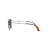 Ray-Ban Unisex Rb8247 Round Titanium Round Sunglasses