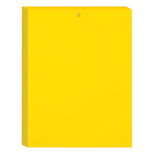 40 Pièces Insectes Jaune Mouche Double Face 15x20cm, Papier Tue Mouches Interieur, Yellow Protection du Jardin Contre Les Insectes, Pieges a Mouches, Autocollants en Papier Mouche