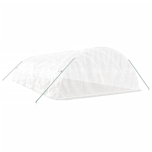 Serra Tenda Riparo Piante Fiori Ortaggi Con Struttura In Acciaio 50 M² 10 X 5 X 23 M Bianco 02_0044603 - 5