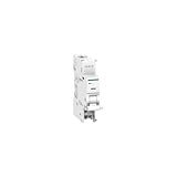Bobina de máxima tensión Schneider Electric A9A26500 Bobinas De Protección Contra Sobretensione Permanentes Imsu - 270 V Ca