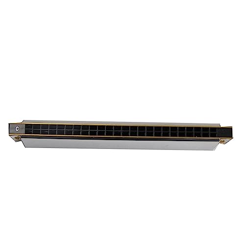 PacuM Harmonica by Instrument Key 24 trous Harmonica Professional Tremolo Harmonica Harp 24 Hole C Key avec étui Harmonica - Les Beatles, Paul McCartney, John Lennon, RIngo Starr, George Harrison PacuM Harmonica by Instrument Key 24 trous Harmonica Professional Tremolo Harmonica Harp 24 Hole C Key avec étui Harmonica – Image 4