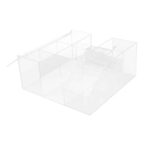 Boîte de rangement cosmétiques acrylique Healvian organisateur cils bureau