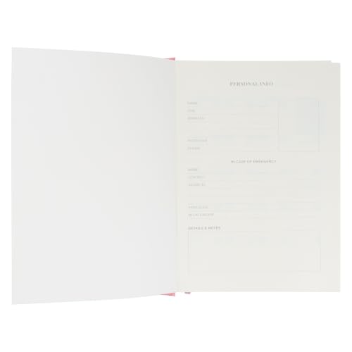 Amazon Basics Daily Planner with Monthly Tabs, A5 Size, Hardcover, Baby Pink - image 5