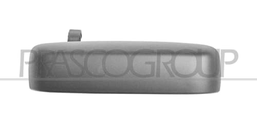 Prasco Maniglia Porta FT3508104 Posteriore Sx Con La Prima Mano-image