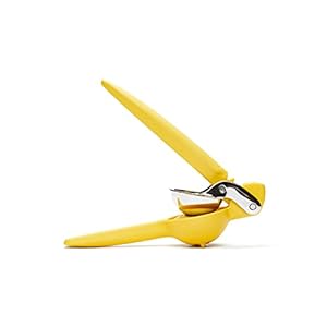 Chef’n PalmZester Palm-Sized Lemon Zester, Handheld Citrusrasp en pers, vaatwasmachinebestendig, 9 x 7,5 x 4 cm, groen