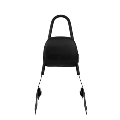 Dossier passager amovible pour moto Sportster XL 1200 883 Nightster