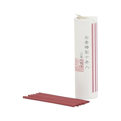 Hasegawa Smokeless Japanese Incense Sticks 10-Pack | 2.75 Inch | 10-15 Minute Burn Time | Made in Japan (Ancient Capital) Cover