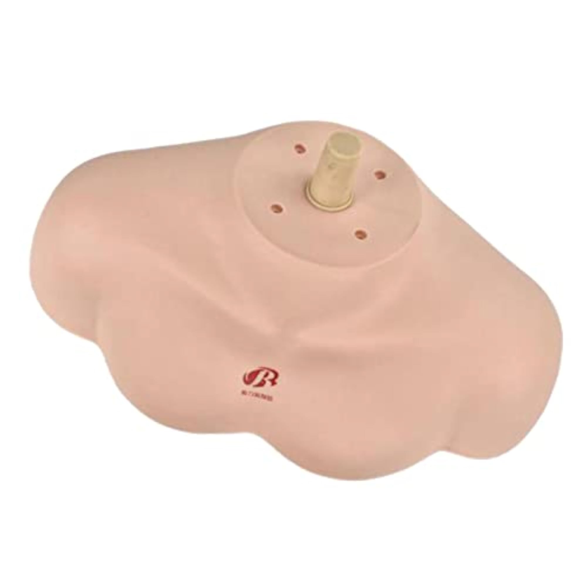 Cosmetology Makeup Mannequin Holder Shoulder Display Bust Base