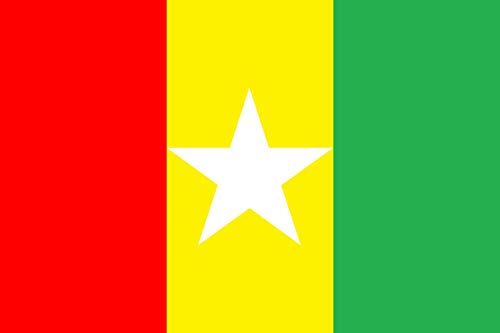 Drapeau Large Guosa de langue construite de taille standard - 2