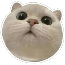 Magnifying White Cat Face Decals with 3D Anime Like, Vinyl Cat Car Decal Stickers for Car Bumper Window Rear Mirror, Peel and Stick, Funny Magnifying Bumper Sticker Peeking