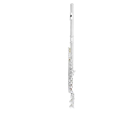 �t���[�g�y�� �t���[�g �⃁�b�L C �L�[ 16 �L�[ �N���[�Y�h�z�[�� �J�[�u E �L�[ �t���[�g ���僌�x���̎������t�y��(B)