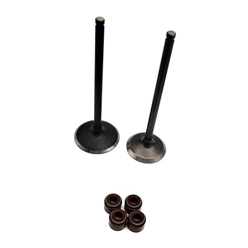 Bagues d'étanchéité de tige CF800 haute résistance 0800-022004 - 3
