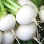 Unusual Rare NAVET Heirloom Heritage Turnip White Egg 100 Seeds. Certified French Organic Grower
