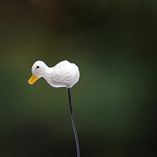 Bloom Bagicha Bird Stake/ Stick Pack of 10 Pc Miniatures for Garden Decor, Home/Landscape Decoration, Tray Gardening/Terrariums (B09RKQDTYC) Amazon Price History, Amazon Price Tracker