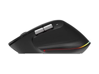 Acer Easy Fit - Maus - ergonomisch - optische LED - 6 Tasten - kabellos - 2.4 GHz, Bluetooth 5.0 - kabelloser Empf?nger (USB)