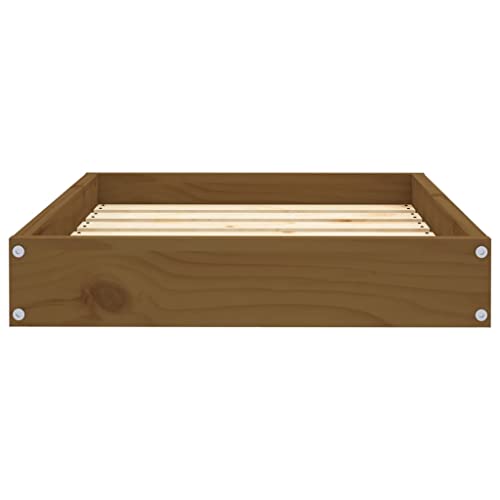 vidaXL Hundebett Honigbraun 61,5x49x9cm Massivholz Kiefer Hundekorb Hundesofa