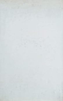 Hardcover Il papa e il diavolo. [Italian] Book