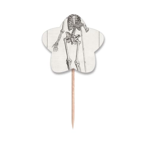 Pics cupcake squelette humain evite gateaux mous avec drapeaux etoile rigides