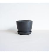 Amazon.co.jp: ECOPOTS キャスター付き 鉢皿 Amsterdam 外径28.7cm