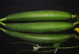 Creative Farmer Vegetable Seeds Gourd Tori Seeds - Sponge Gourd Dark Seeds Home Garden Seeds (B07N487ZG1) Amazon Price History, Amazon Price Tracker