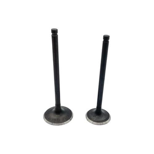 Solucion para desgaste de valvula en Zongshen PR250