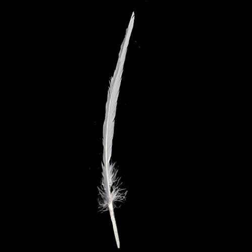 Handy Lidy 20Pcs 10-12" Turkey Feather Round Wing Quill For Diy Art Accessories Halloween Party Decoration Wedding Costumes-White #TOP3