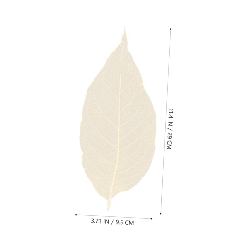UKCOCO 100 hojas naturales para manualidades en forma de corazón miniatura 2