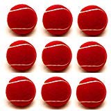 ALVI Jumper Rubber Light Weight Ball, Red, Standard - Pack of 6 (B07TW1MNGD) Amazon Price History, Amazon Price Tracker