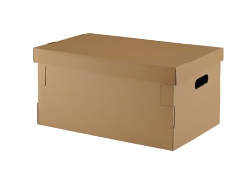 DRW Caja Carton automontable con Tapa 5 Unidades 45x35x20 cm