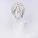 Alacos Short Fashion Spiky Layered Anime Cosplay Wig Unisex Basic New Cosplayer Male Costume Wigs+Wig Cap (A-silver White)