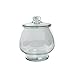 Syndicate Sales 1 Gallon Footed Terrarium w/ Lid, Clear