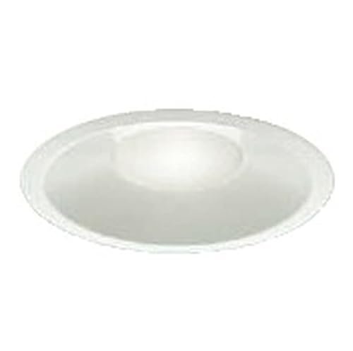 �R�C�Y�~�Ɩ� LED�i�����F�j �_�E�����C�g 100W���� AD51093