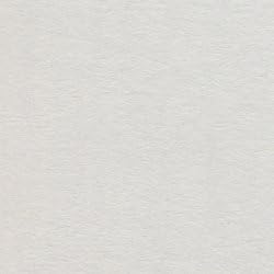 Antique Gray Laser 24# #10 Envelope 500/pack