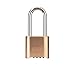 Master Lock 176LH Brass Resettable Combination Lock With 2-1/8