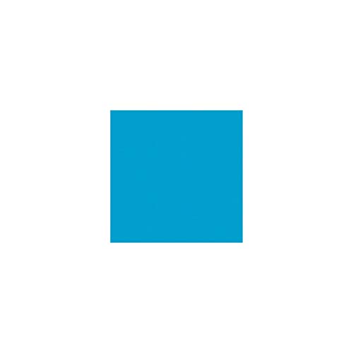 Rosco ROSCOLUX�i�C���u���[�A20 x 24 "�J���[���ʏƖ��t�B���^