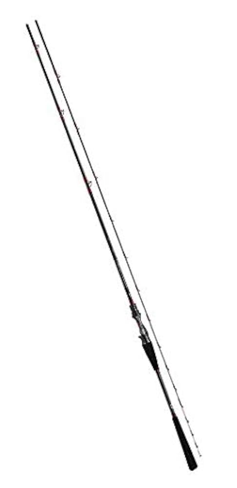 Amazon | ダイワ(DAIWA) 船竿 メタリア ライトヒラメ・Y MH-245