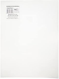 Darice 33275-1 Perforated plastic canvas, 21.5 x 27.9 cm, Transparent, 1 unit