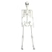 Produktbild 165 cm Halloween-Skelett, Ganzkörper-Skelett, lebensgroß, menschliche Knochen mit beweglichen Gelenken für drinnen und draußen, Halloween-Requisiten, Dekorationen, beweglich, lebensgroß, menschliche