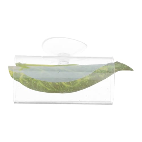 MINAOLULUS ANplB  x^̋xe ٓAVF^[ RȉBꏊ GrBƂɂ