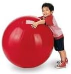 Miniatura 3 de GYMNIC Pelota de ejercicio Physio